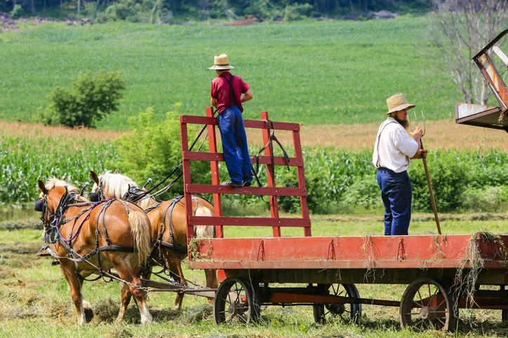 Quienes son los Amish: Origen, normas y religión …
